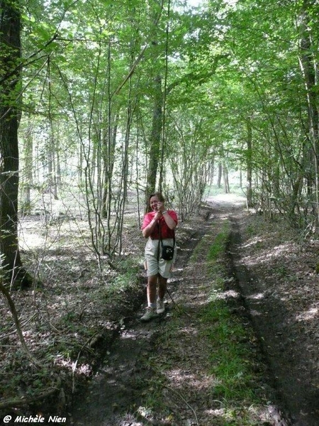 Ardennen wandeling Adeps