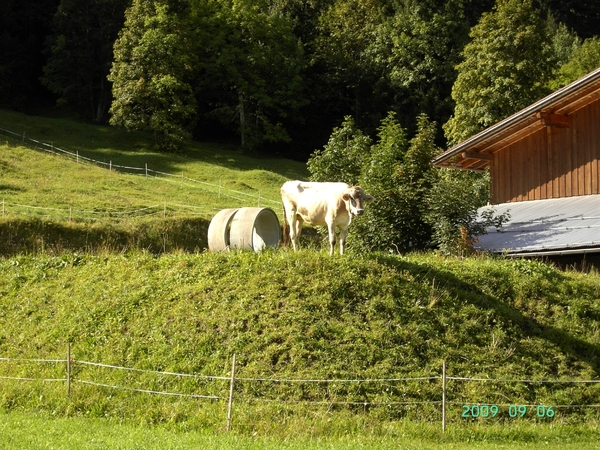 Dag1_032