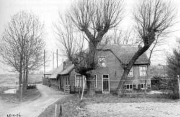 boerderij raadhuisstraat