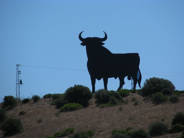 026 De Stier van Andalucia