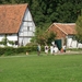Afbeelding 037