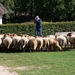Afbeelding 077