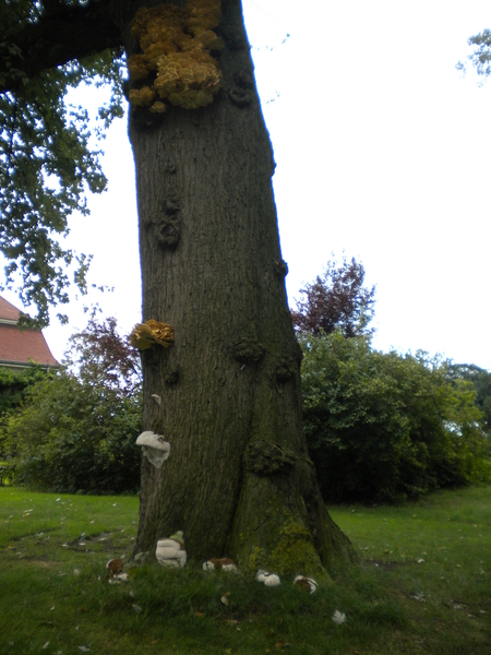 Tuin park Beervelde