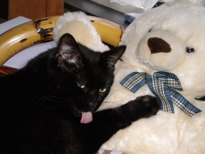 Momo samen met teddybeer