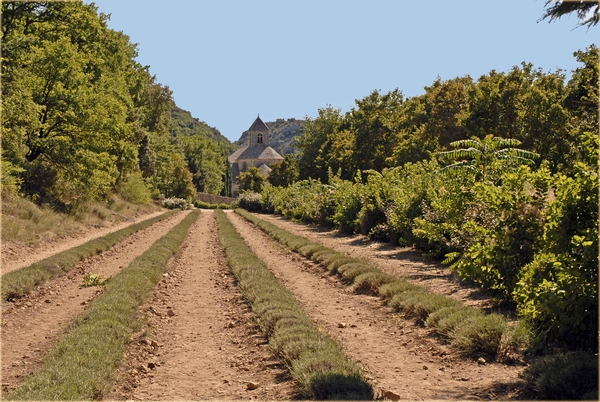 Snanque, Provence, Abbaye