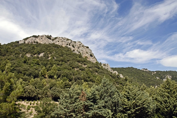 Montmirail, Dentelles, Provence