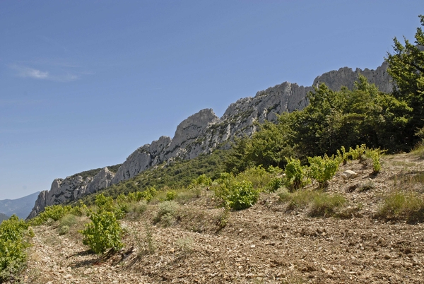 Montmirail, Dentelles, Provence