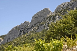 Les Dentelles de Montmirail (4)