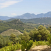 Les Dentelles de Montmirail (5)