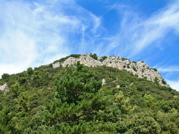 Montmirail, Dentelles, Provence