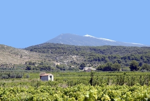 Zicht op de Mont-Ventoux