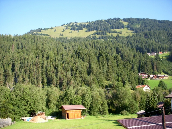 DSCN0403