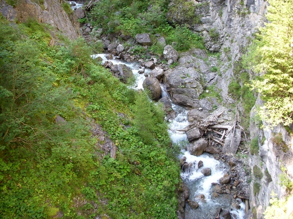 DSCN0422