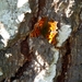 DSCN2819
