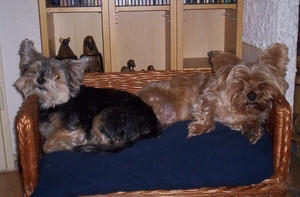 didy en butchy