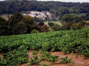 Ik weet het ook niet