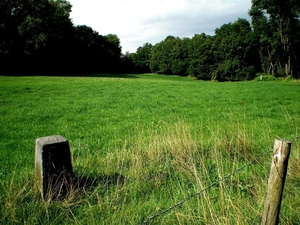 Niet op foto , een rij betonnen pl'n
