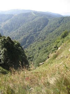 Ballon D'Alsace (21) (Small)