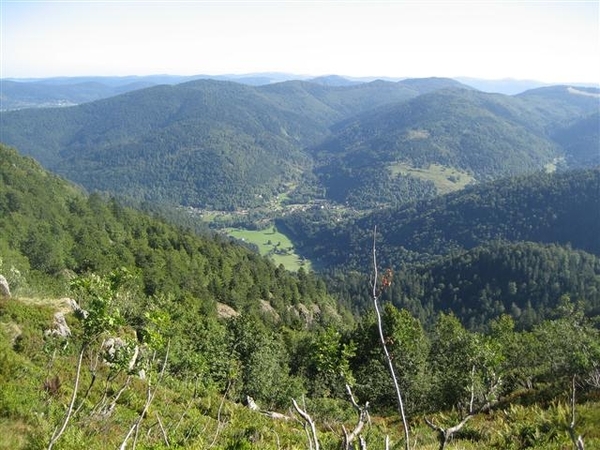 Ballon D'Alsace (10) (Small)