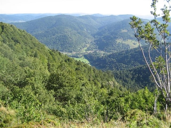 Ballon D'Alsace (11) (Small)