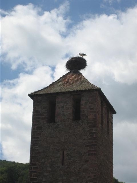 dorpen op de route du vin (27) (Small)