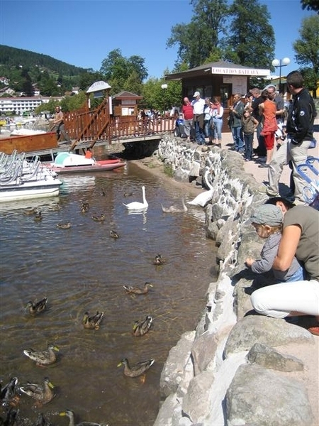 Gerardmeer (8) (Small)