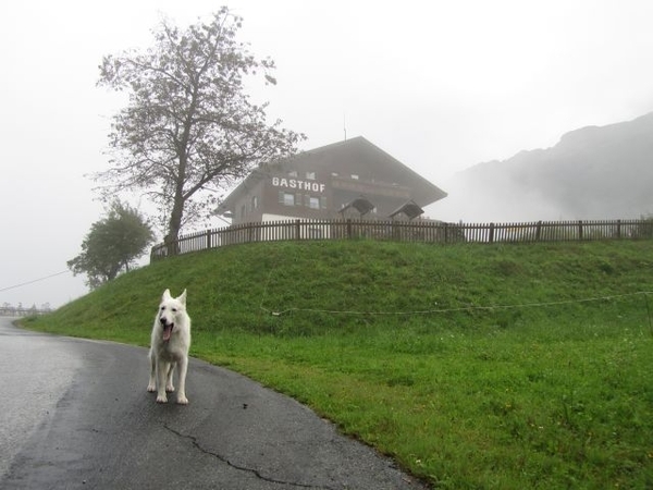 20100819 037 Krimml - watervallen, oude Tauernweg