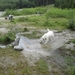 20100819 057 Krimml - watervallen, oude Tauernweg