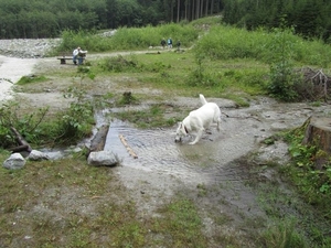 20100819 057 Krimml - watervallen, oude Tauernweg