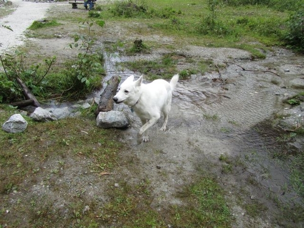 20100819 058 Krimml - watervallen, oude Tauernweg