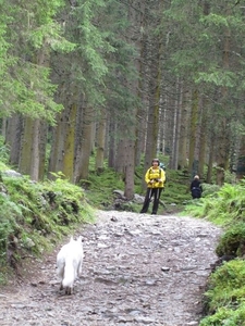 20100819 062 Krimml - watervallen, oude Tauernweg