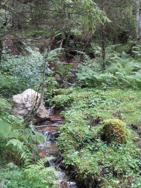 20100819 063 Krimml - watervallen, oude Tauernweg