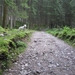 20100819 064 Krimml - watervallen, oude Tauernweg