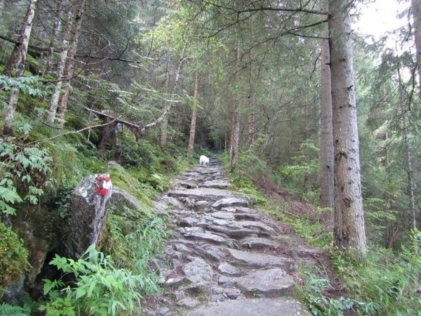 20100819 065 Krimml - watervallen, oude Tauernweg