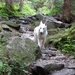 20100819 067 Krimml - watervallen, oude Tauernweg