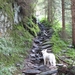 20100819 069 Krimml - watervallen, oude Tauernweg