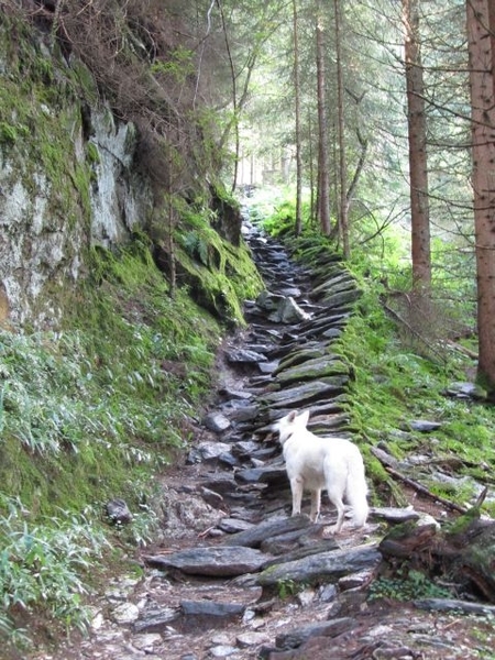 20100819 069 Krimml - watervallen, oude Tauernweg