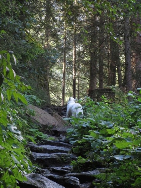 20100819 070 Krimml - watervallen, oude Tauernweg