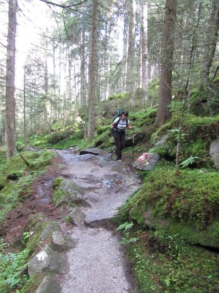 20100819 080 Krimml - watervallen, oude Tauernweg