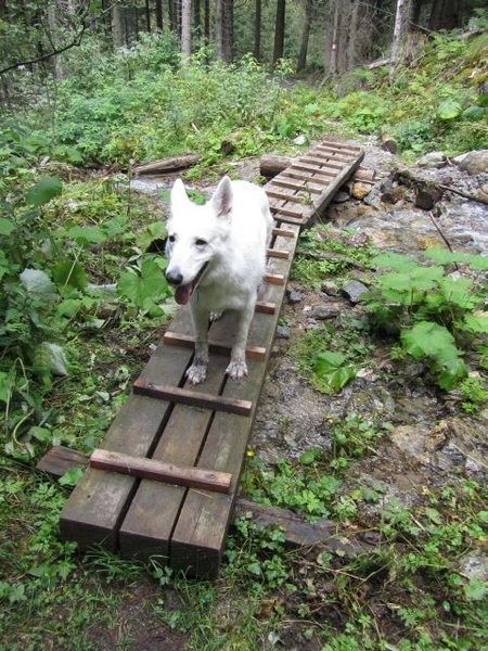 20100819 094 Krimml - watervallen, oude Tauernweg