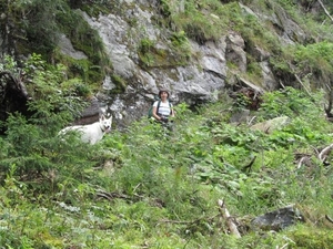 20100819 095 Krimml - watervallen, oude Tauernweg