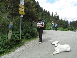 20100819 098 Krimml - watervallen, oude Tauernweg