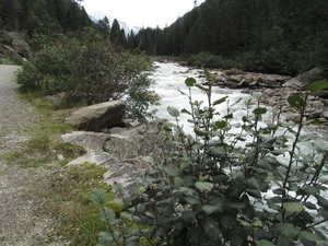 20100819 100 Krimml - watervallen, oude Tauernweg