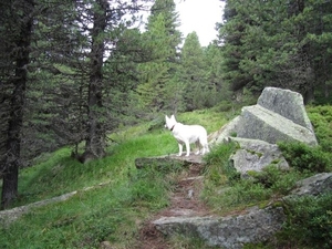 20100820 142 Krimml, Zittauerhut