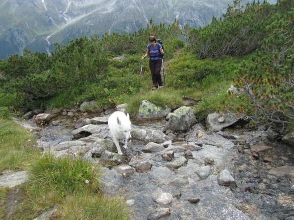 20100820 157 Krimml, Zittauerhut