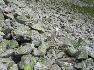 20100820 175 Krimml, Zittauerhut