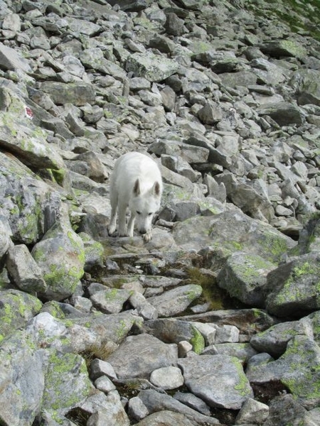 20100820 176 Krimml, Zittauerhut