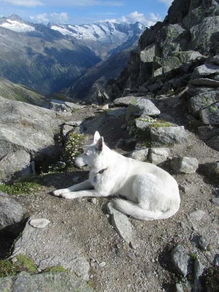 20100820 233 Krimml, Zittauerhut - Rainbachscharte