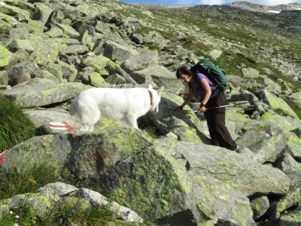 20100820 248 Krimml, Zittauerhut