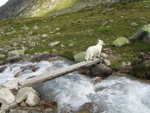 20100821 309 Krimml Richterhut